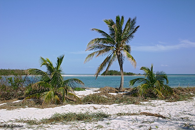 Bahia Honda